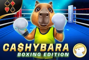 Cashybara Boxing Edition