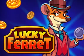 Lucky Ferret